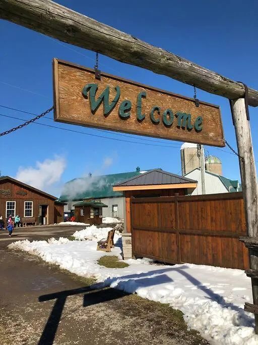 Niagara Sky Line 2- Walk To The Falls & Complimentary Breakfast Delivered Daily To The Rental 0*, Niagara Falls